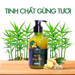 combo dầu gội tặng cao ủ tóc gừng tươi nàng ơi