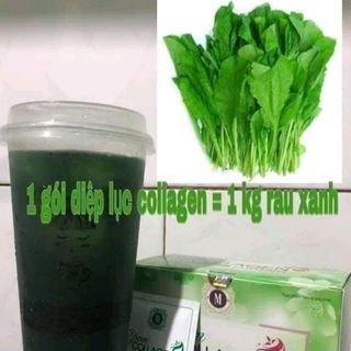 diệp lục collagen