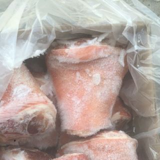 Bắp đùi trước heo Ý Pini Polonia