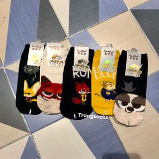 Sỉ 20 đôi tất Cáo ngắn cổ chất đẹp