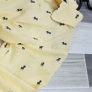 áo sơmi xô lụa