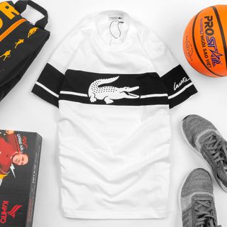 Áo Thun Cotton Nam Lacost3