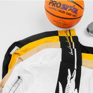 Áo Thun Cotton Nam Lacost3