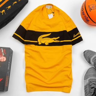 Áo Thun Cotton Nam Lacost3