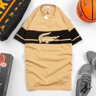 Áo Thun Cotton Nam Lacost3