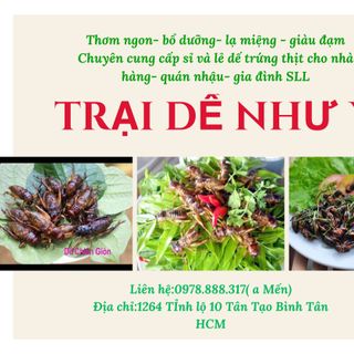 Dế trứng thịt