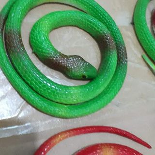 Đồ chơi trẻ em mô hình rắn nhựa dẻo