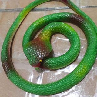 Đồ chơi trẻ em mô hình rắn nhựa dẻo