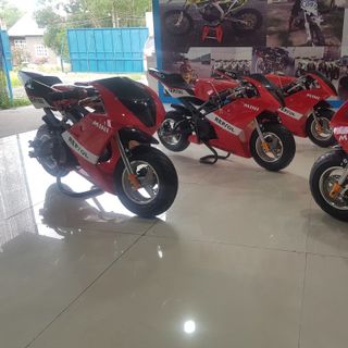 Moto Mini 50cc 2019