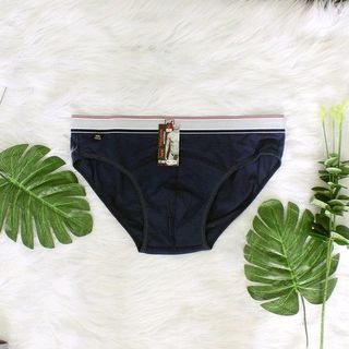 Quần lót nam coton 100/100 coton 4 chiều