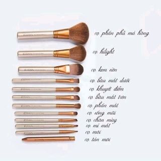 bộ cọ 12 cây