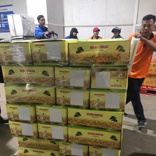 Nho Sấy Khô Ấn Độ 10kg/ Thùng