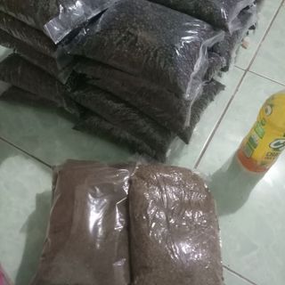 hạt tiêu đen