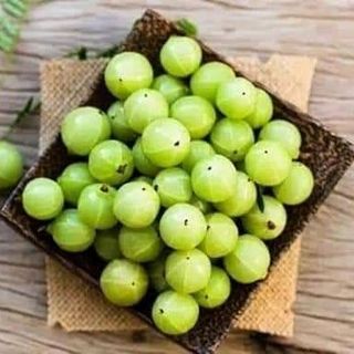 Laco - dầu gôi chuyên trị rụng toc nấm ngứa da đầu Amla