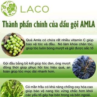 Laco - dầu gôi chuyên trị rụng toc nấm ngứa da đầu Amla