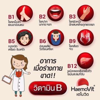 thuốc tăng cân Haemovit thái lan giá sỉ