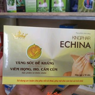 Echina Kingphar - tăng sức đề kháng viêm họng ho cảm cúm giá sỉ