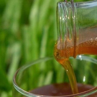 Đặc sắc mật ong hoa cà phê xuất xứ Đắk Lắk giá sỉ