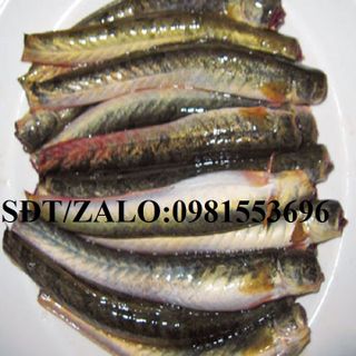 Cá kèo Hà Nội Đặc Sản Miền Tây