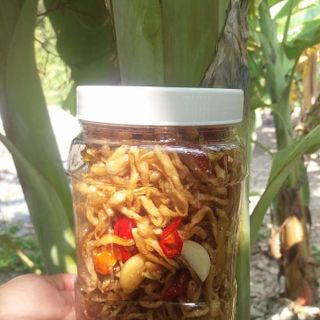 SÁ BẤU NGỌT