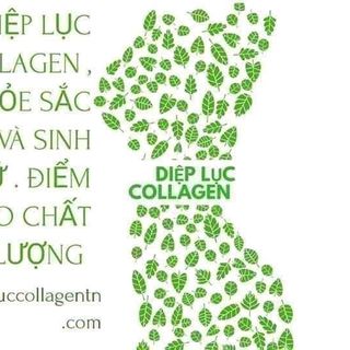 Diệp lục collagen