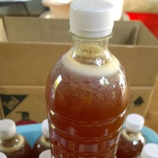 Đặc sắc mật ong hoa cà phê xuất xứ Đắk Lắk