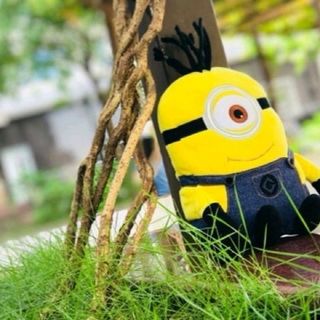 Gấu bông Minion