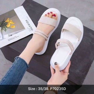SANDAN BẢNG QUẢNG CHÂU