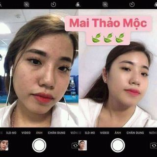 Mai thảo mộc