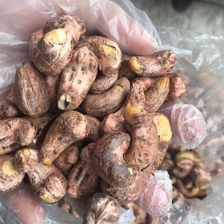 ĐIỀU NGUYÊN RANG MUỐI
