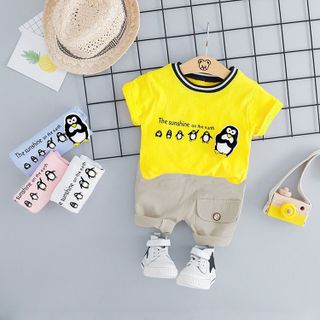 BỘ CHIM CÁNH CỤT