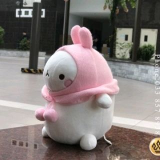 GẤU BÔNG HÀN QUỐC