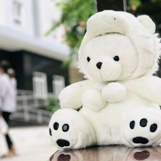GẤU BÔNG CHÓ CIU giá sỉ