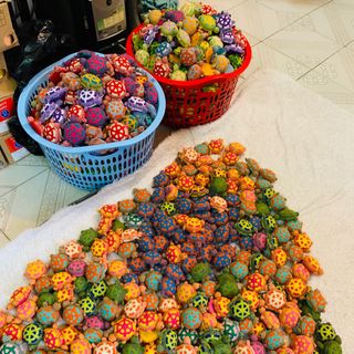 Sỉ rùa thước dây