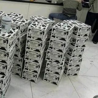 Sữa non Alpha