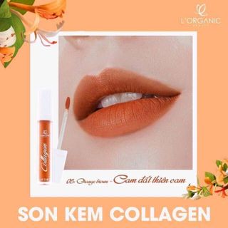 son kem lorganic