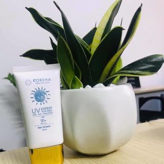 Kem Chống Nắng SUN CREAM KORENA SPF 50 PA Giá SỉGiá Buôn