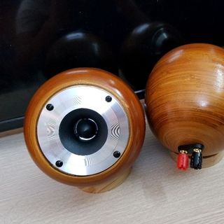 Loa trép vỏ tre lắp củ Pioneer P8802