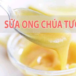 sữa ong chúa giá sỉ