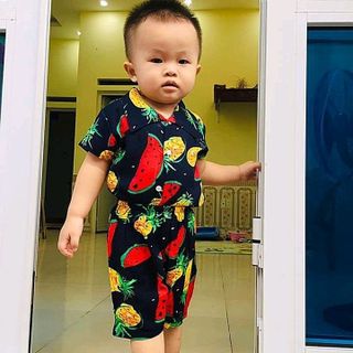 bộ hoa quả cho bé
