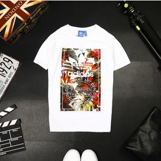 ÁO THUN COTTON ÁO THUN AO THUN NAM BAN SỈ