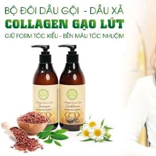 bộ đôi dầu gội đầu colagen gạo lứt giá sỉ