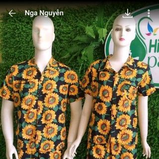 bộ hoa quả trái cây đi biển