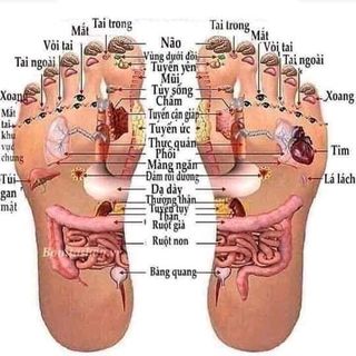 MUỐI HẦM THẢO DƯỢC LAN CHI