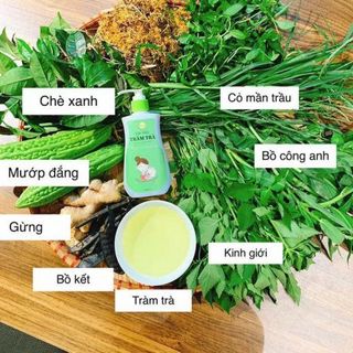 Sữa tắm tràm trà GREENBON