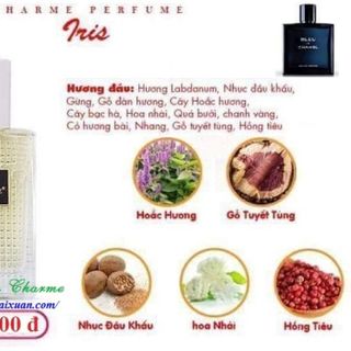 Nước hoa nam Charme Iris 30ml