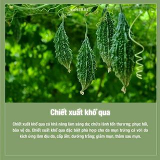 Sửa Rửa Mặt Khổ Qua / Trị Mụn - Kiềm Dầu Nhờn