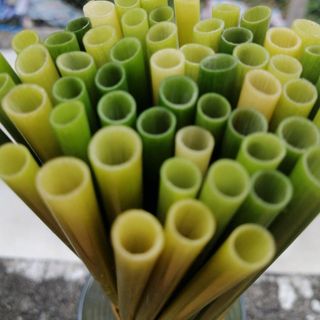 Ống hút cỏ bàng tươi Grass Straw
