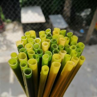 Ống hút cỏ bàng tươi Grass Straw
