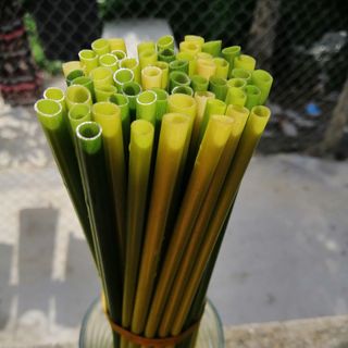Ống hút cỏ bàng tươi Grass Straw
